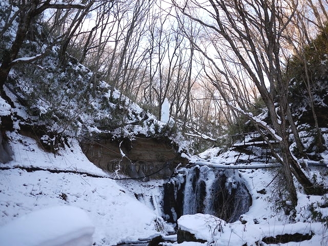 P1000450.jpg