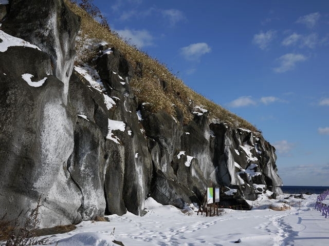 P1000491.jpg