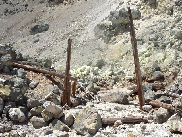 P1000496.jpg