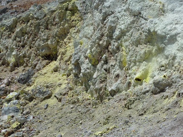 P1000529.jpg