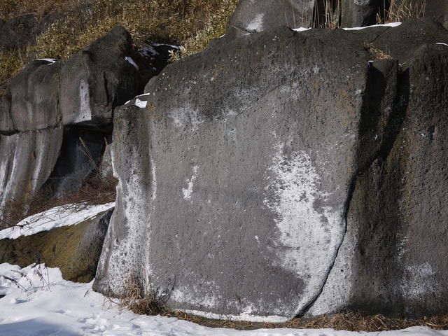P1000530.jpg