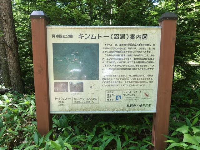 P1000539.jpg