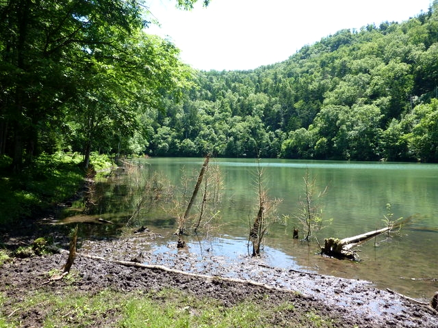 P1000542.jpg