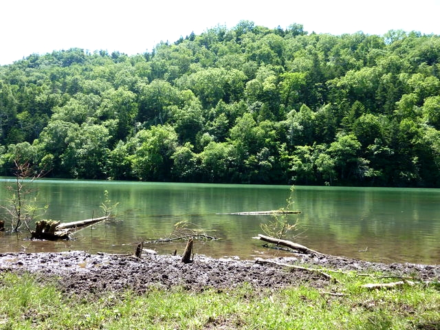 P1000543.jpg