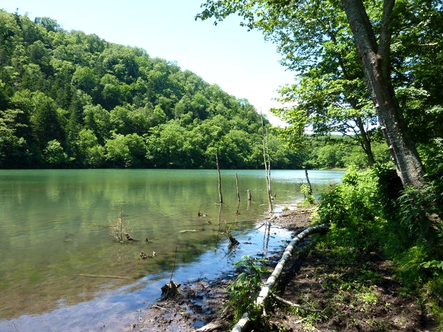 P1000544.jpg