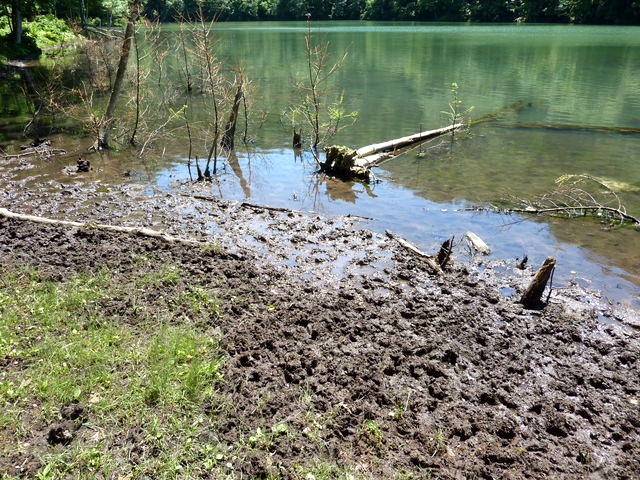 P1000545.jpg