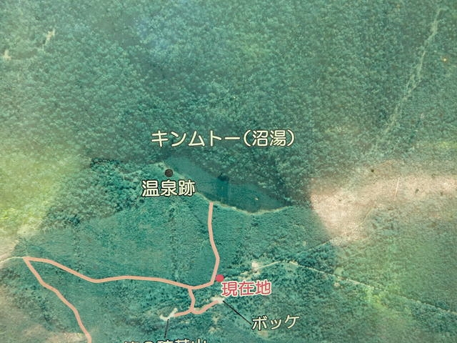 P1000546.jpg