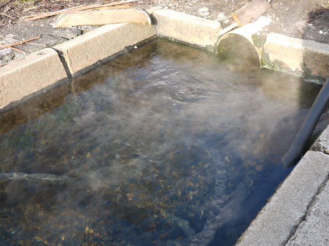 P1000548.jpg