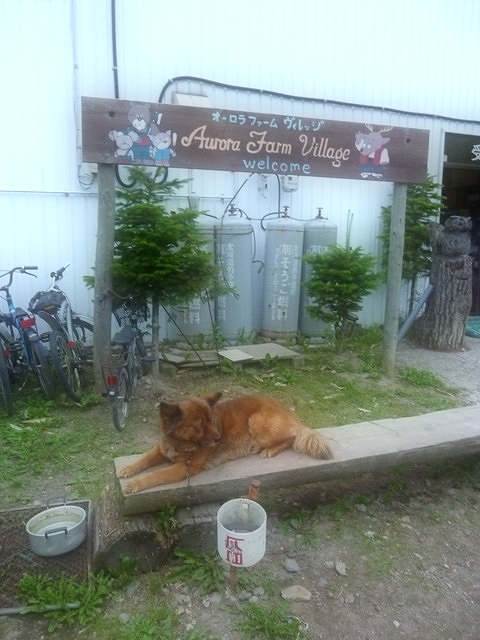P1000634.jpg