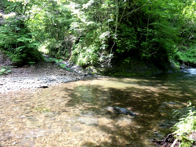P1000711.jpg
