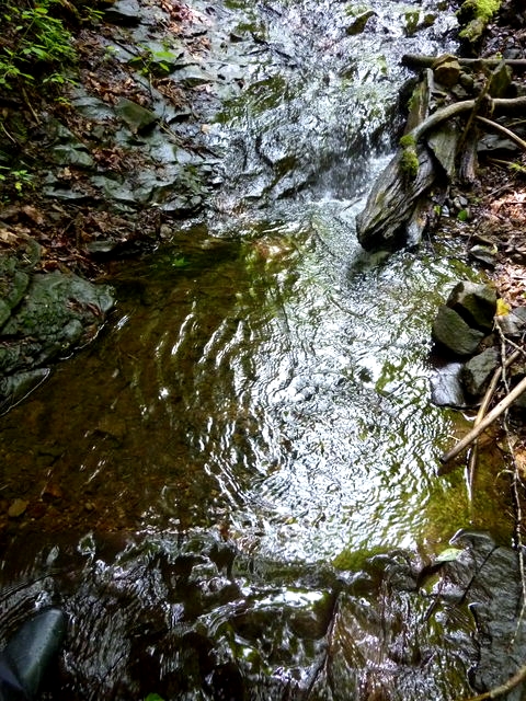 P1000716.jpg