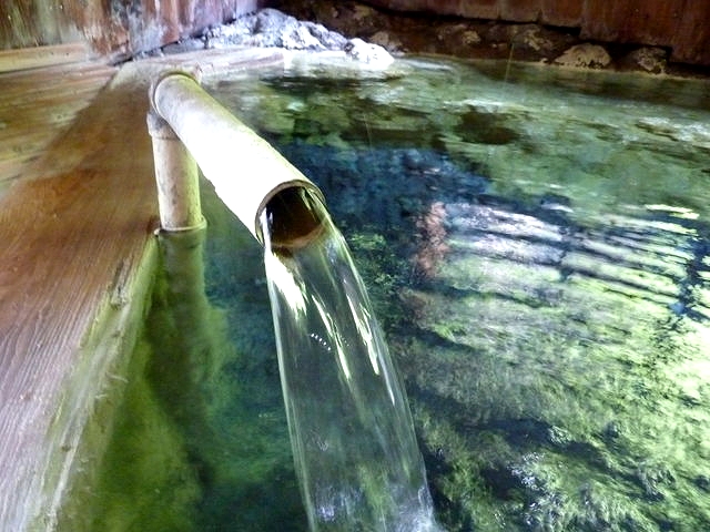 P1000757.jpg
