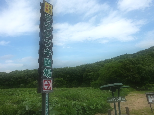 P1000779.jpg