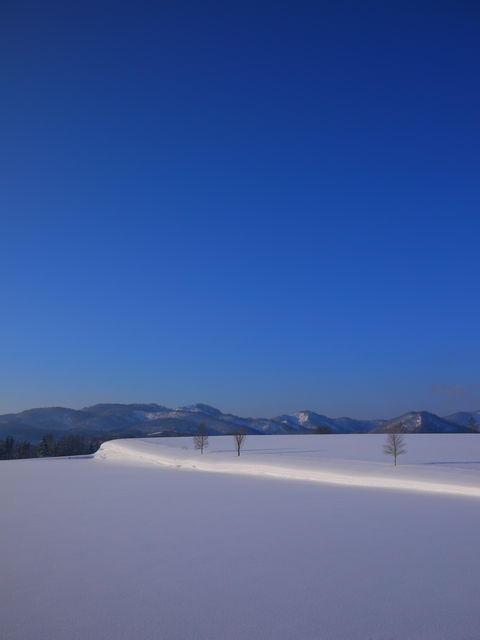 P1010004.jpg