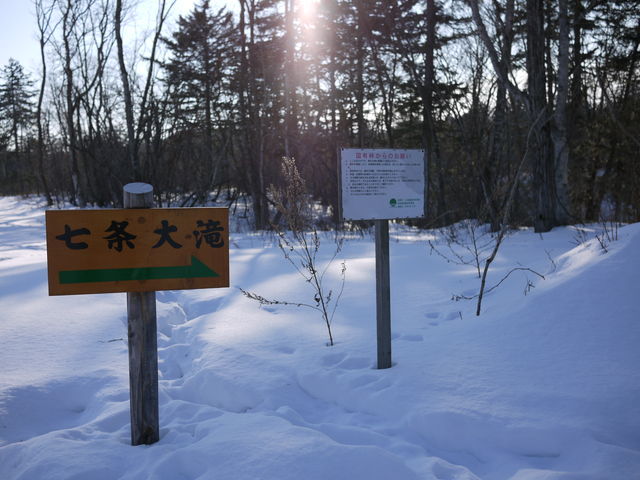 P1010216.jpg