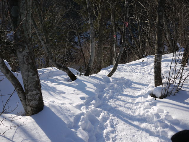 P1010217.jpg