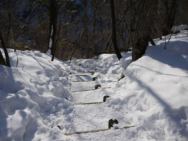 P1010218.jpg