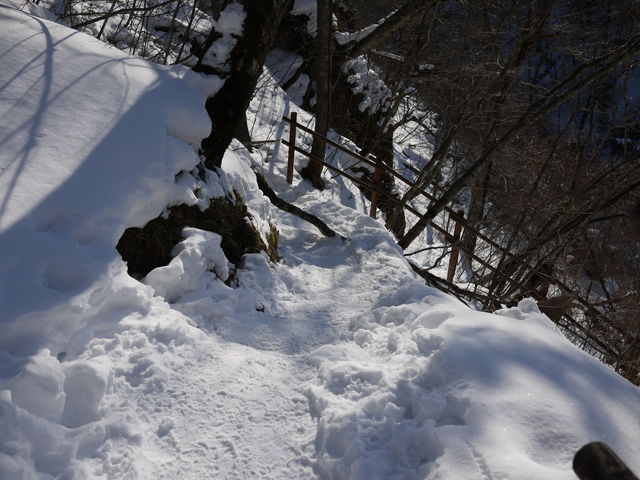 P1010219.jpg