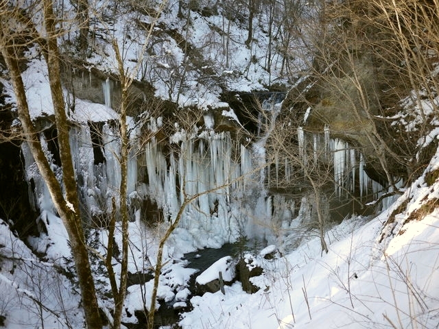 P1010222.jpg