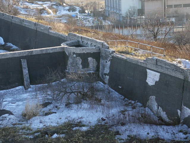 P10105710.jpg
