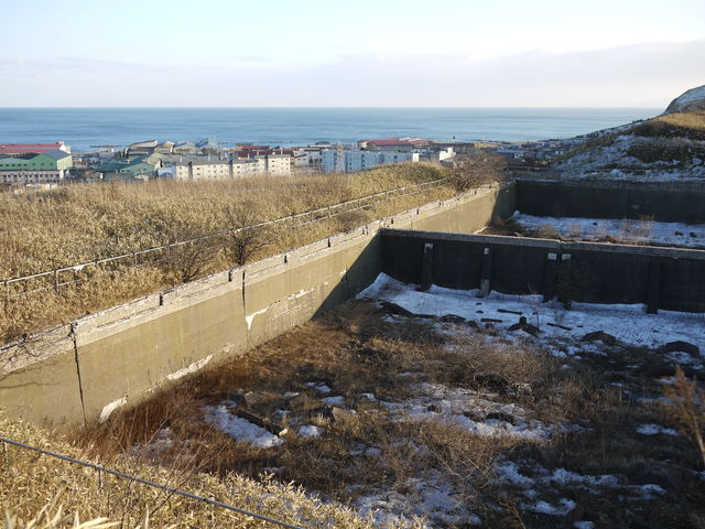P1010584.jpg