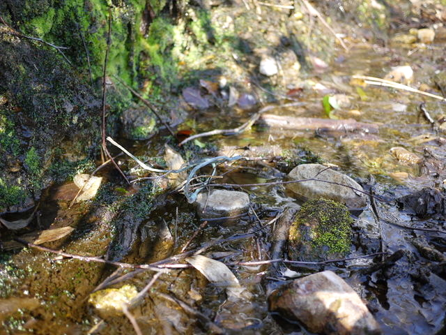 P1010744110211.jpg