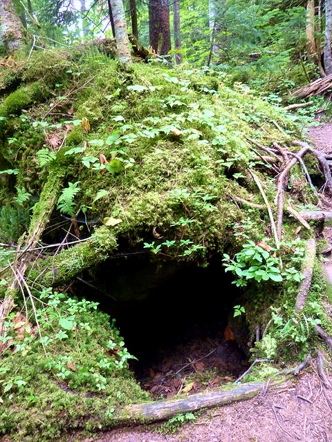P1010756.jpg