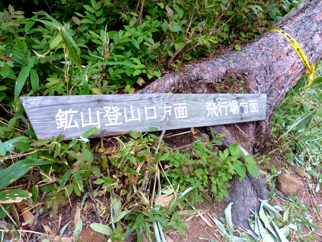 P1010838.jpg