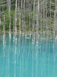 P1010877.jpg