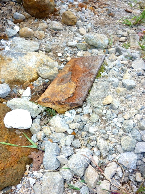 P1010886.jpg