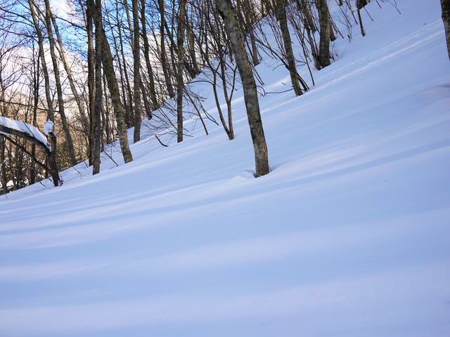 P1020016110211.jpg