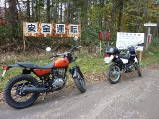 P1020428.jpg