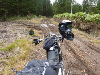 P1020432.jpg