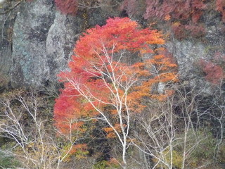 P1020438.jpg