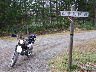 P1020473.jpg