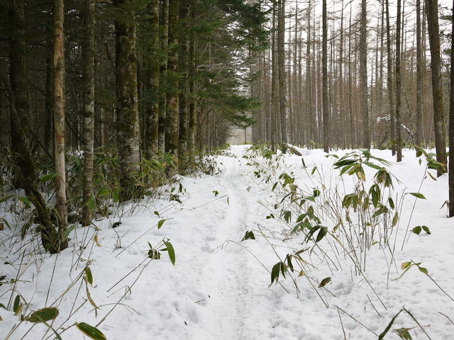 P1020904110219.jpg