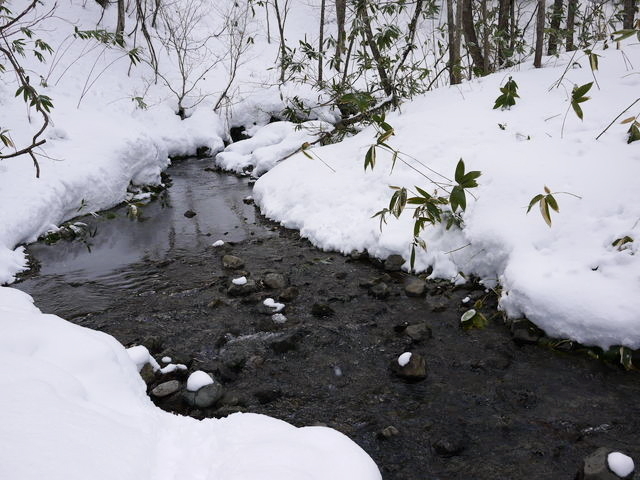 P1020908110219.jpg