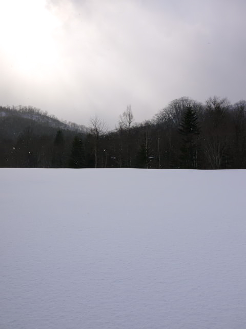 P1030072110219.jpg