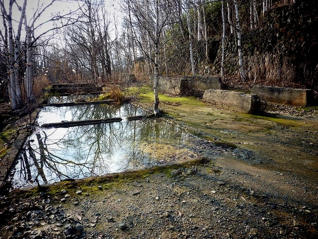 P1030403.jpg