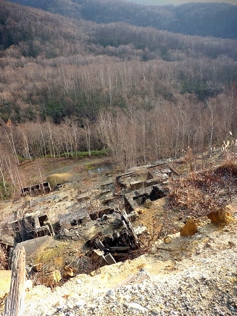 P1030422.jpg