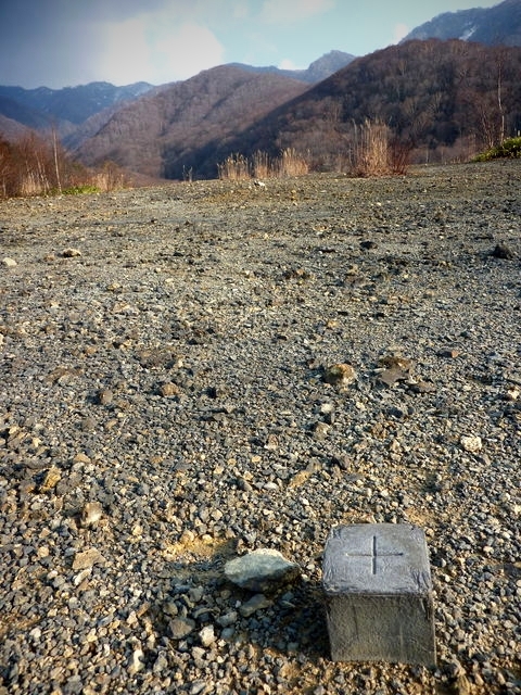 P1030423.jpg