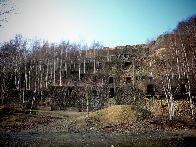 P1030427.jpg