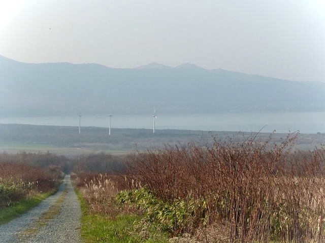 P1030432.jpg