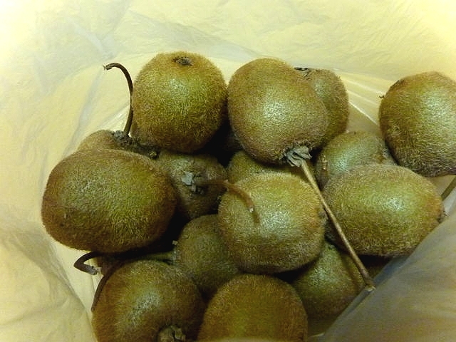 P1030488.jpg