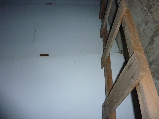 P1030525.jpg