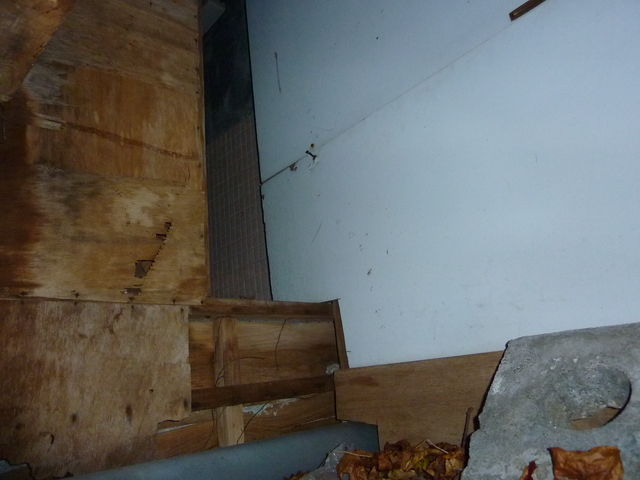 P1030526.jpg