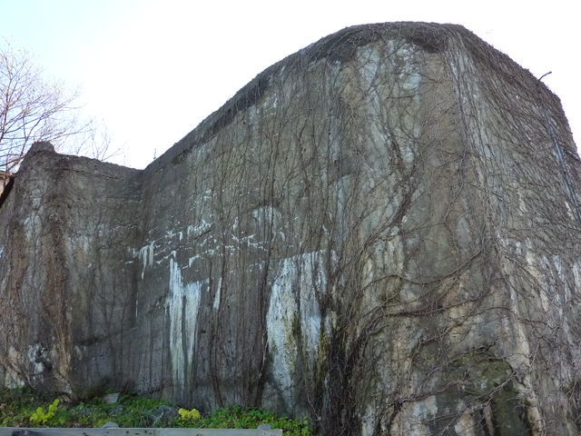 P1030528.jpg