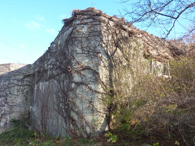 P1030529.jpg