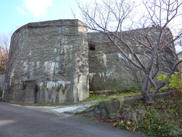 P1030533.jpg