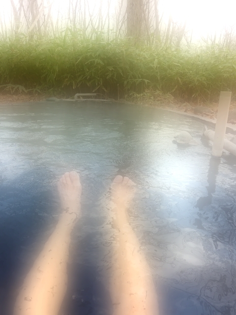P1030686.jpg